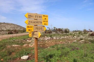 Paisaje en la Vall d’Ebo dos meses después del incendio 48