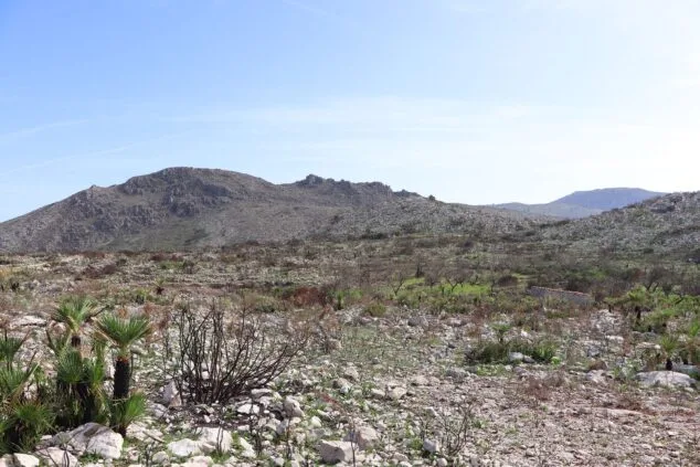 Les Valls de la Marina Alta desean renacer: ¿cuándo se recuperarán las montañas tras el gran incendio? 8 paisaje en la vall debo dos meses despues del incendio 54