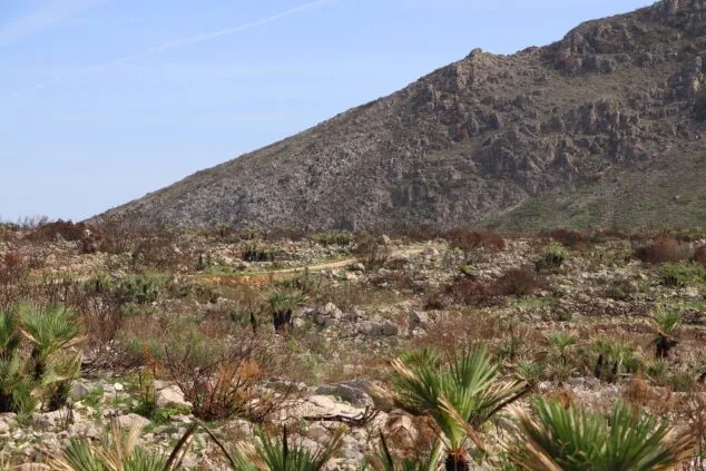 Les Valls de la Marina Alta desean renacer: ¿cuándo se recuperarán las montañas tras el gran incendio? 9 paisaje en la vall debo dos meses despues del incendio 55