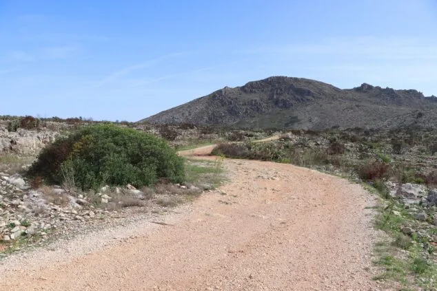 Les Valls de la Marina Alta desean renacer: ¿cuándo se recuperarán las montañas tras el gran incendio? 11 paisaje en la vall debo dos meses despues del incendio 57
