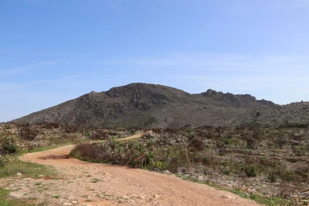 Les Valls de la Marina Alta desean renacer: ¿cuándo se recuperarán las montañas tras el gran incendio? 12 paisaje en la vall debo dos meses despues del incendio 58