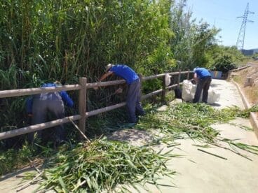 Actuaciones del Taller de Ocupación ondarenc