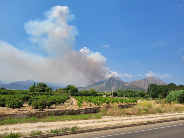 Imagen: Columna de humo del incendio de la Vall d'Ebo desde Sagra