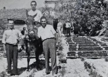 Escaldà de la pansa en la Marina Alta a principios de siglo XX – ‘Valencians a Nova York. El cas de la Marina Alta (1912-1920)’