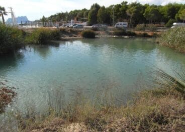 marjal del senillar de teulada moraira en la actualidad