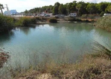 marjal del senillar de teulada moraira en la actualidad