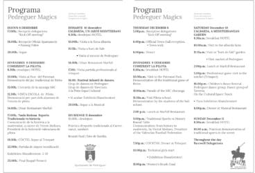 Programación de MAGICS Pedreguer