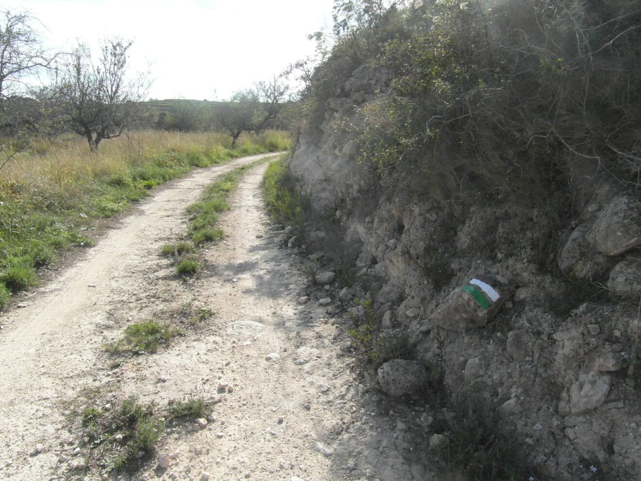 Señalización mediante marcas de pintura del sendero local homologado