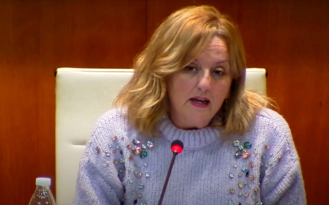 Ana Sala durante el pleno de enero de 2023