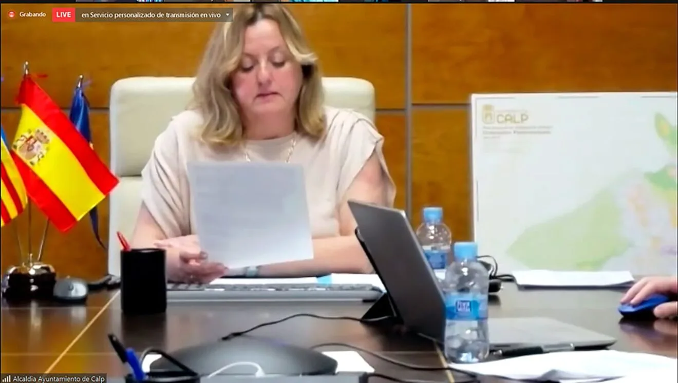 Ana Sala durante un pleno (archivo)