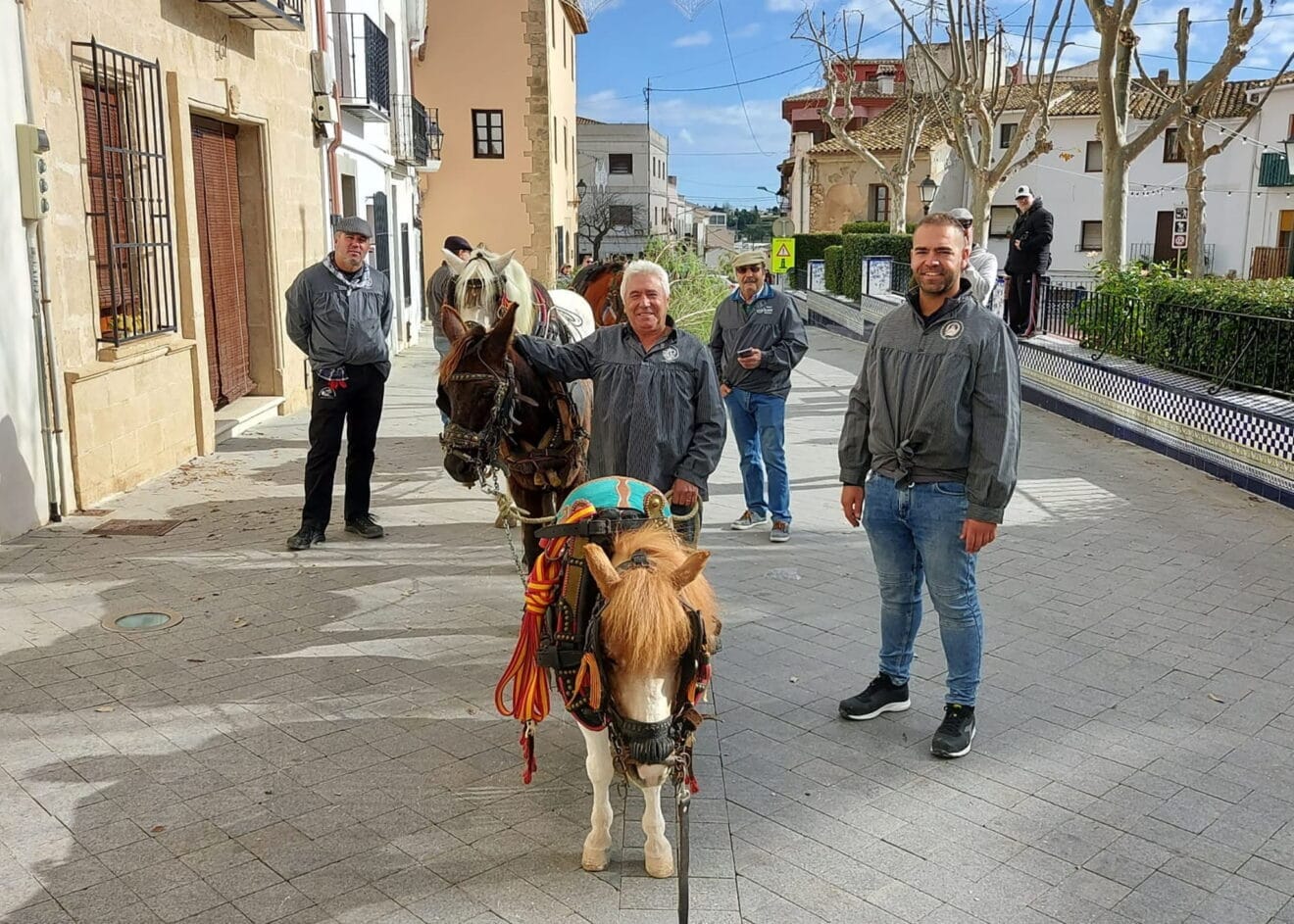 Associació de Carreters i Cavallistes en la preparación de leña para la hoguera de Sant Antoni en 2023