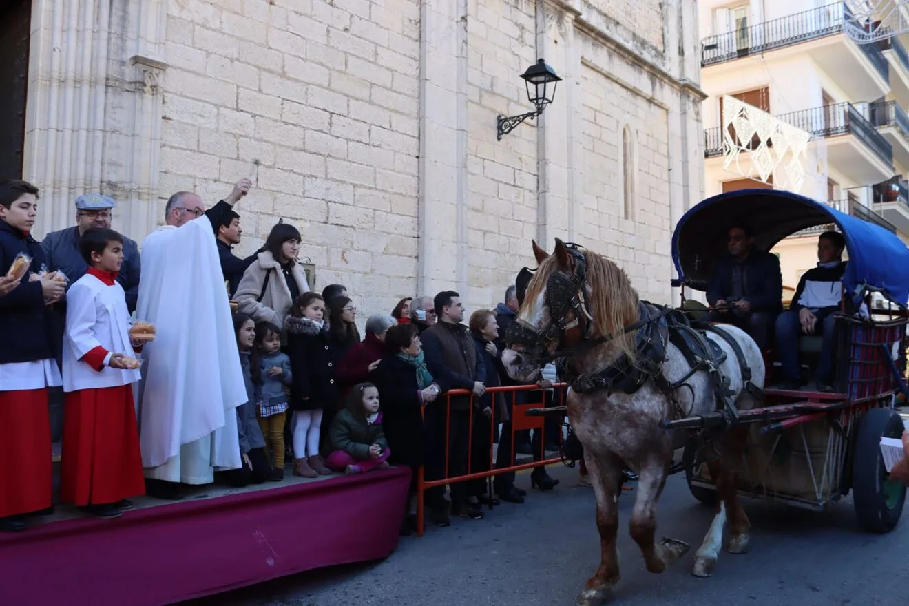 Bendición de animales durante Sant Antoni 2020 en Benissa