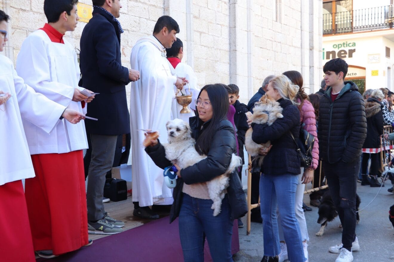 Bendición de animales en la Fira i Porrat de Benissa 2023  101