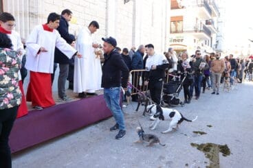Bendición de animales en la Fira i Porrat de Benissa 2023  104