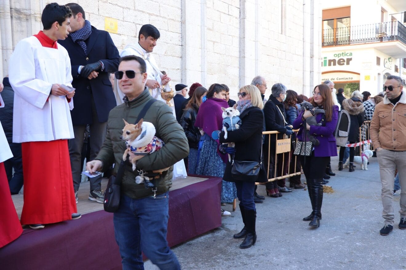 Bendición de animales en la Fira i Porrat de Benissa 2023  105