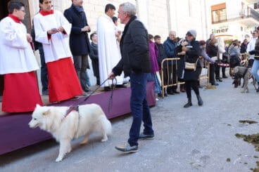 Bendición de animales en la Fira i Porrat de Benissa 2023  110