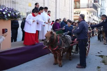 Bendición de animales en la Fira i Porrat de Benissa 2023  15