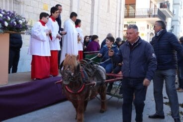 Bendición de animales en la Fira i Porrat de Benissa 2023  16