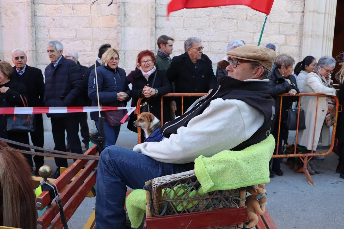 Bendición de animales en la Fira i Porrat de Benissa 2023  22