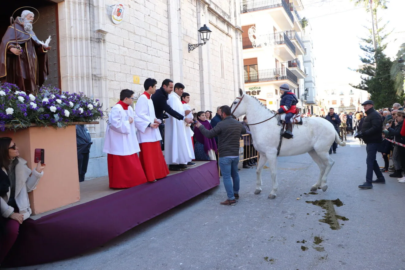 Bendición de animales en la Fira i Porrat de Benissa 2023  36