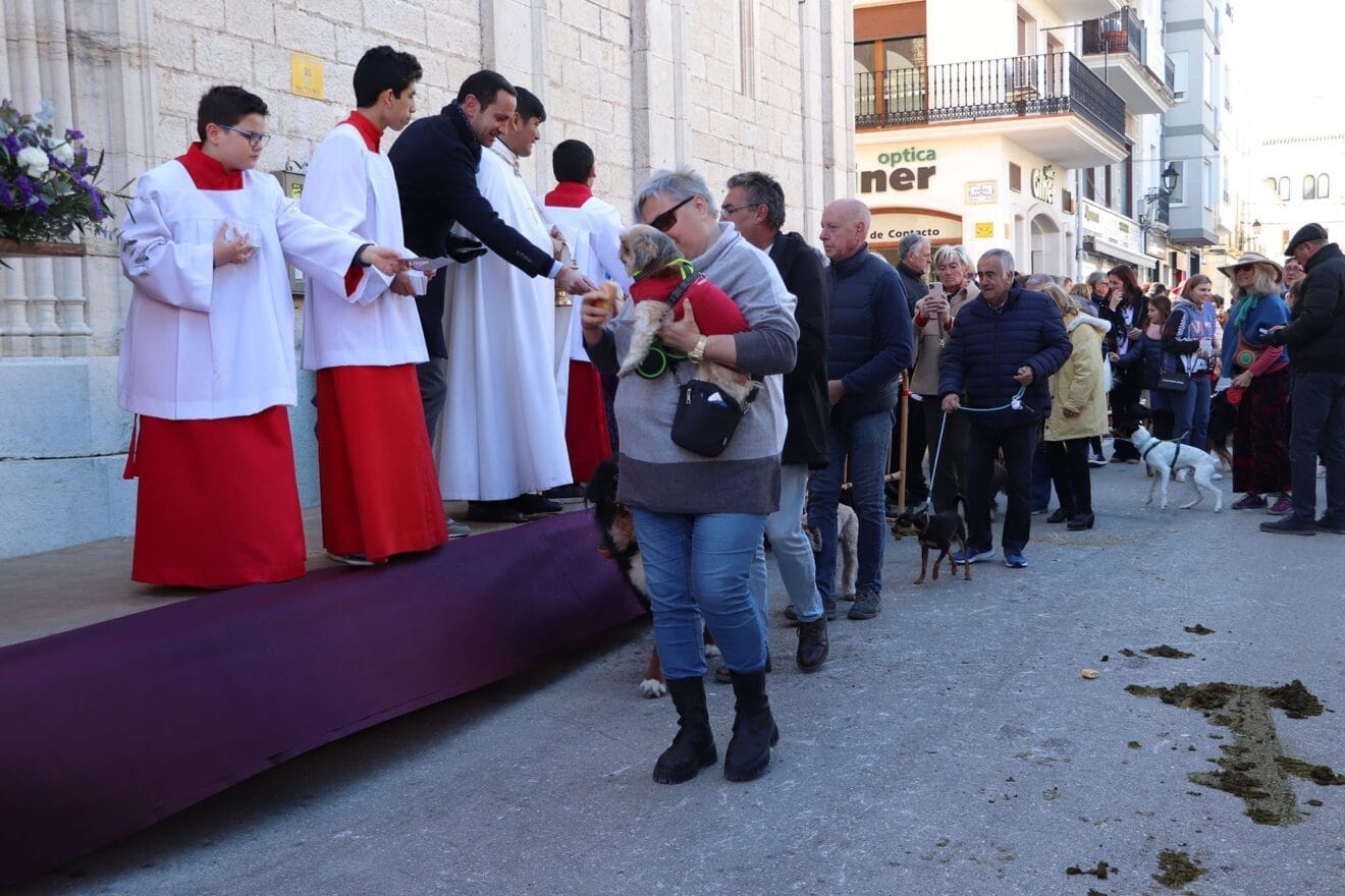 Bendición de animales en la Fira i Porrat de Benissa 2023  38