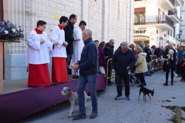 Bendición de animales en la Fira i Porrat de Benissa 2023  39