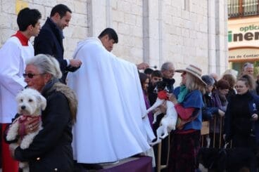 Bendición de animales en la Fira i Porrat de Benissa 2023  41