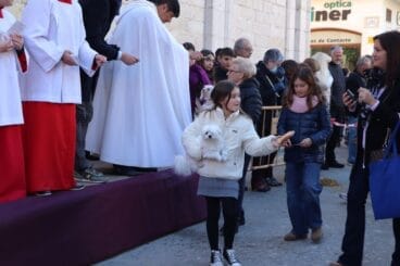 Bendición de animales en la Fira i Porrat de Benissa 2023  43