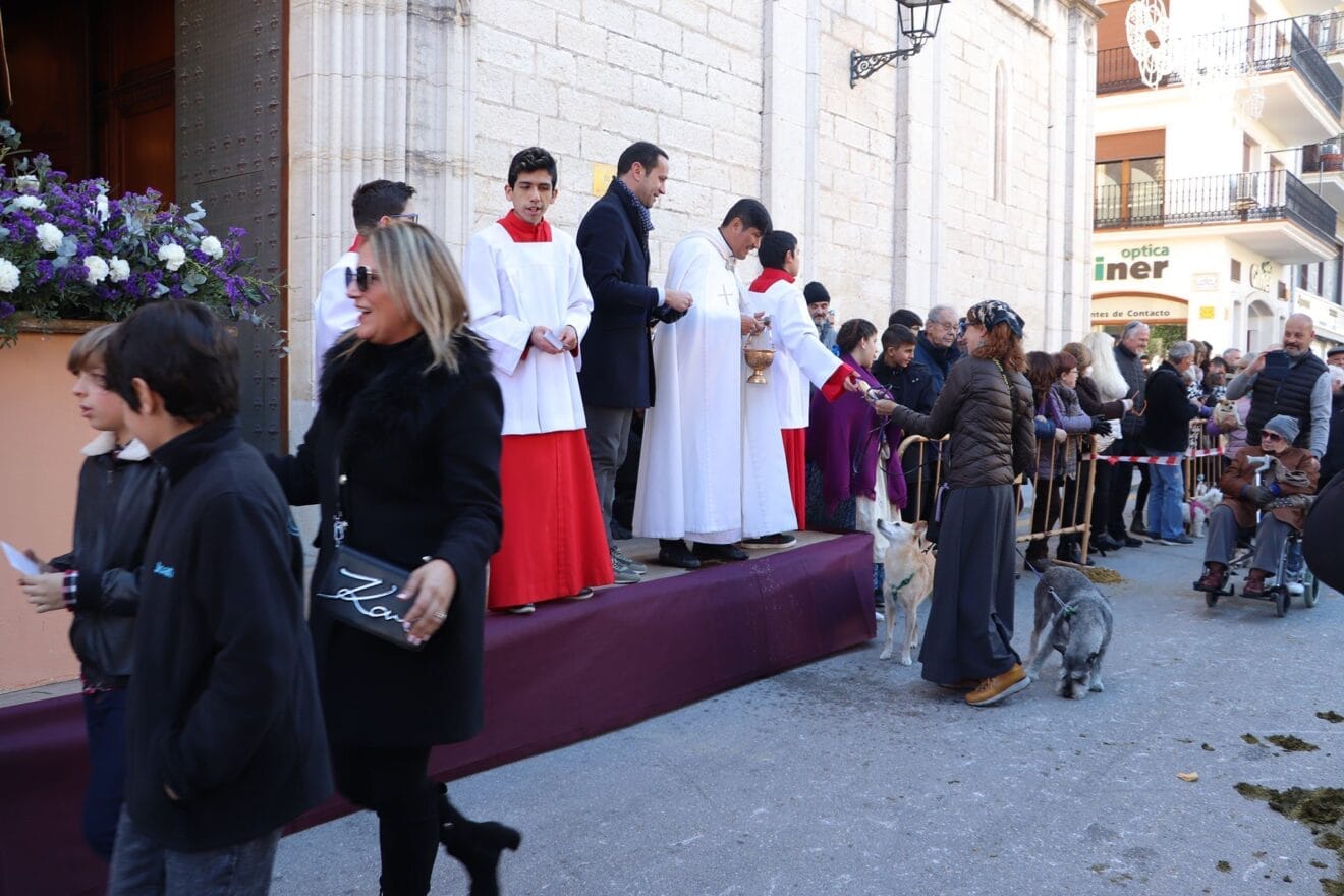 Bendición de animales en la Fira i Porrat de Benissa 2023  48