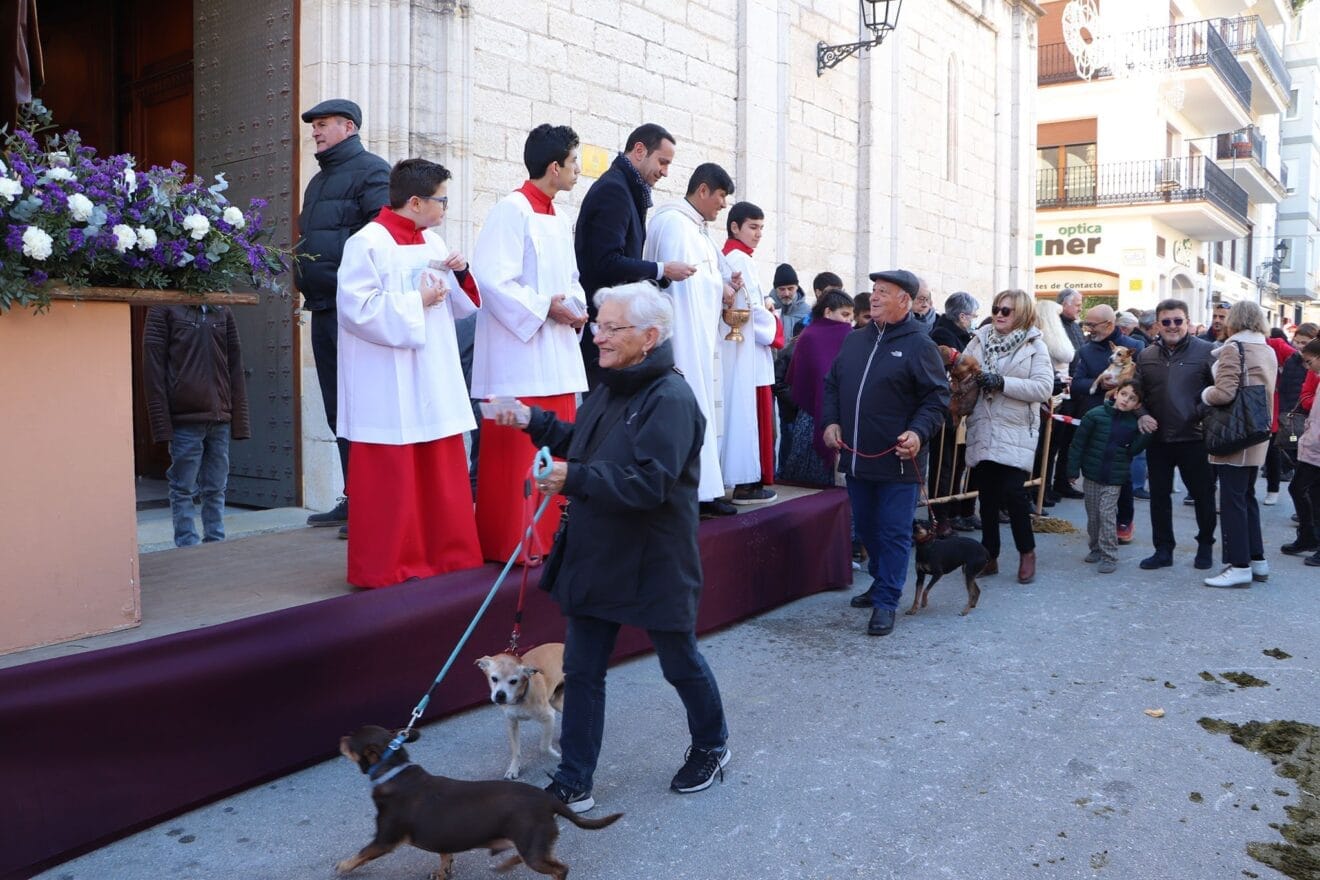 Bendición de animales en la Fira i Porrat de Benissa 2023  51