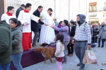 Bendición de animales en la Fira i Porrat de Benissa 2023  59