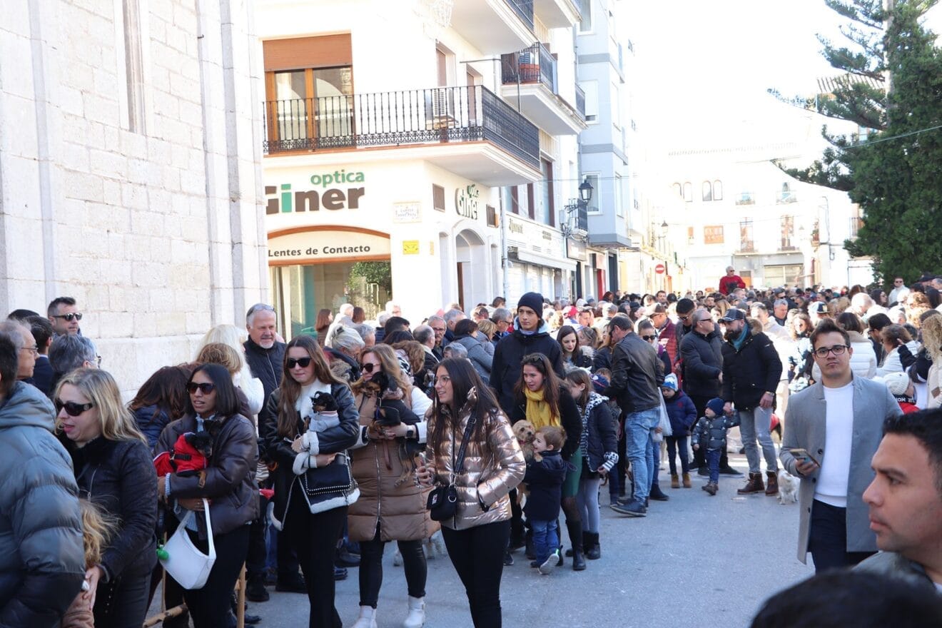 Bendición de animales en la Fira i Porrat de Benissa 2023  65
