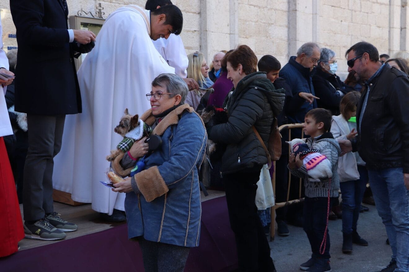 Bendición de animales en la Fira i Porrat de Benissa 2023  68