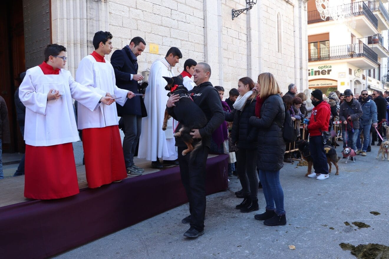 Bendición de animales en la Fira i Porrat de Benissa 2023  77