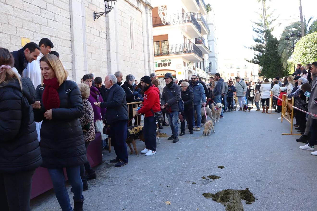 Bendición de animales en la Fira i Porrat de Benissa 2023  78