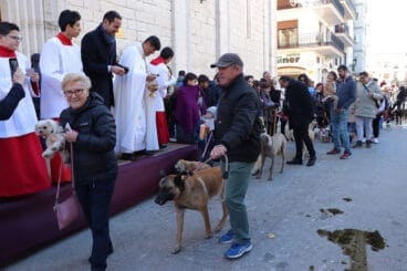 Bendición de animales en la Fira i Porrat de Benissa 2023  79