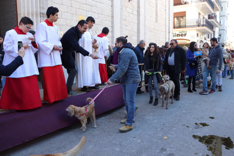 Blessing of animals at the Fira i Porrat de Benissa 2023 80