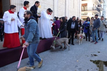 Bendición de animales en la Fira i Porrat de Benissa 2023  81