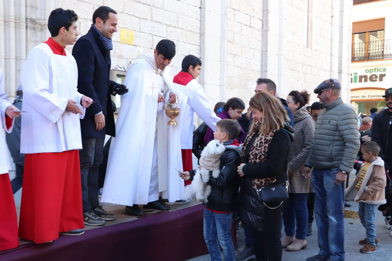 Bendición de animales en la Fira i Porrat de Benissa 2023  84