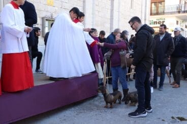 Bendición de animales en la Fira i Porrat de Benissa 2023  88