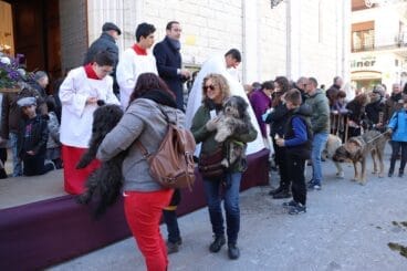 Bendición de animales en la Fira i Porrat de Benissa 2023  90