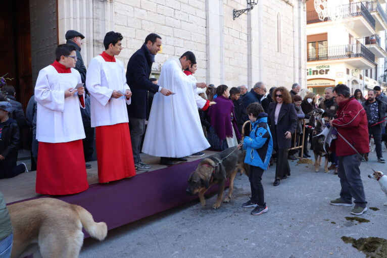Blessing of animals at the Fira i Porrat de Benissa 2023 91