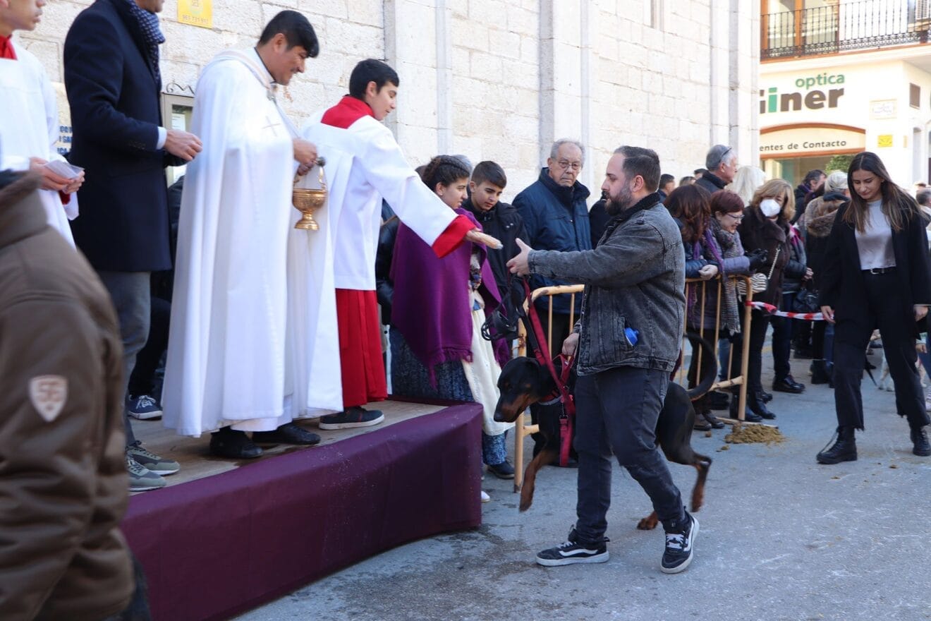 Bendición de animales en la Fira i Porrat de Benissa 2023  93