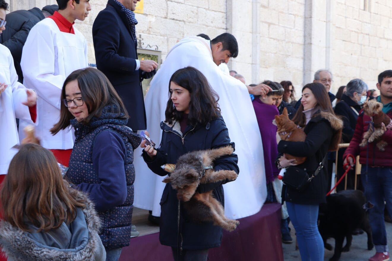 Bendición de animales en la Fira i Porrat de Benissa 2023  96