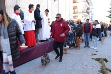 Bendición de animales en la Fira i Porrat de Benissa 2023  98