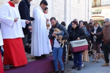Bendición de animales en la Fira i Porrat de Benissa 2023  99
