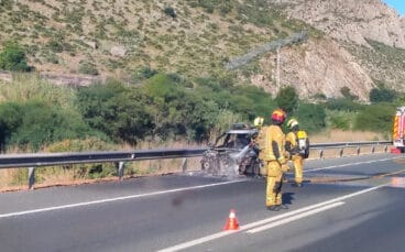 Bomberos en las labores de extinción del incendio en la N-332