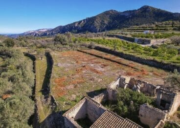 Campo de almendros triturados en el término municipal de Alcalalí