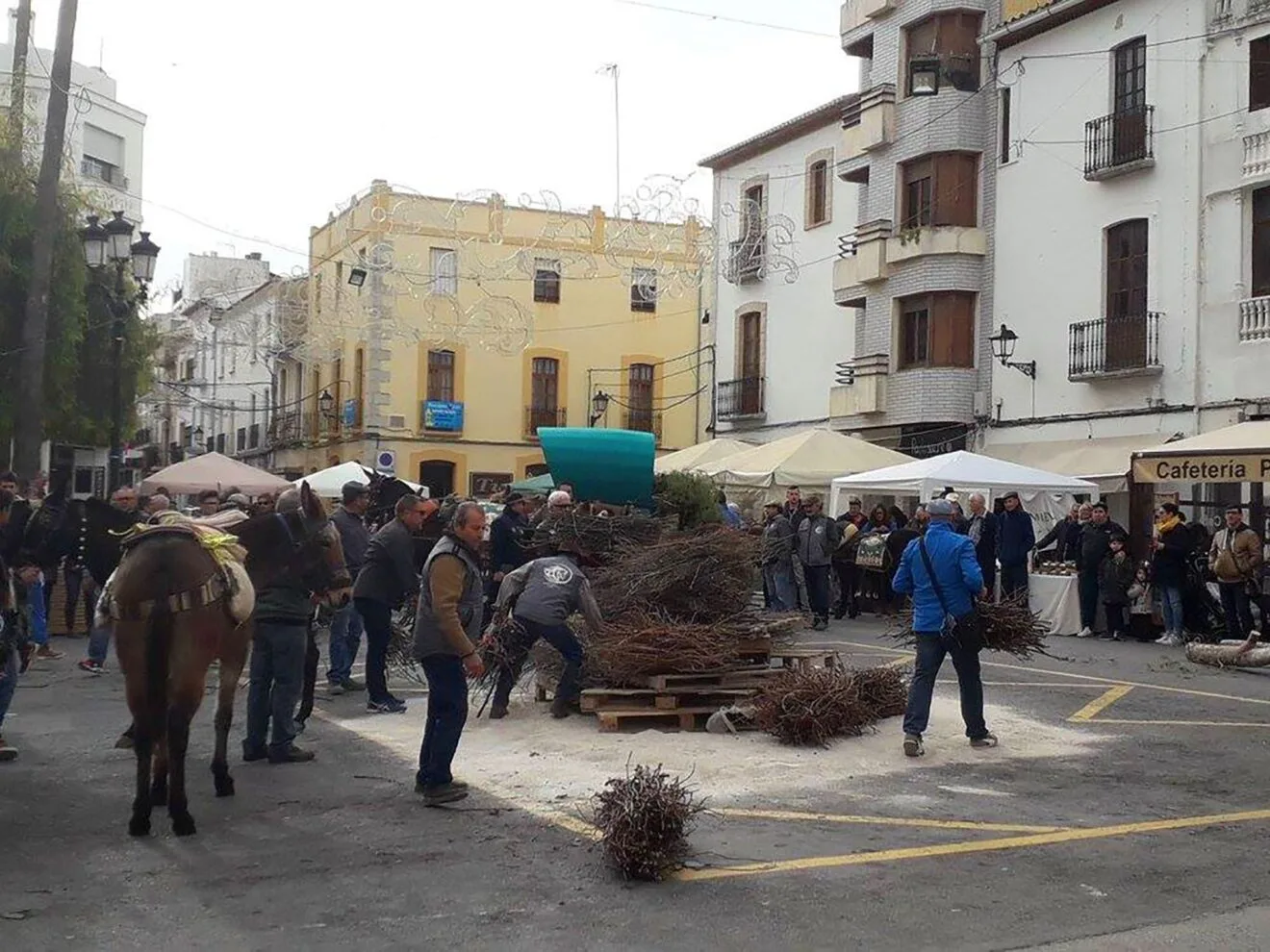 Entrada de la leña para la foguera de Sant Antoni de Benissa en 2018