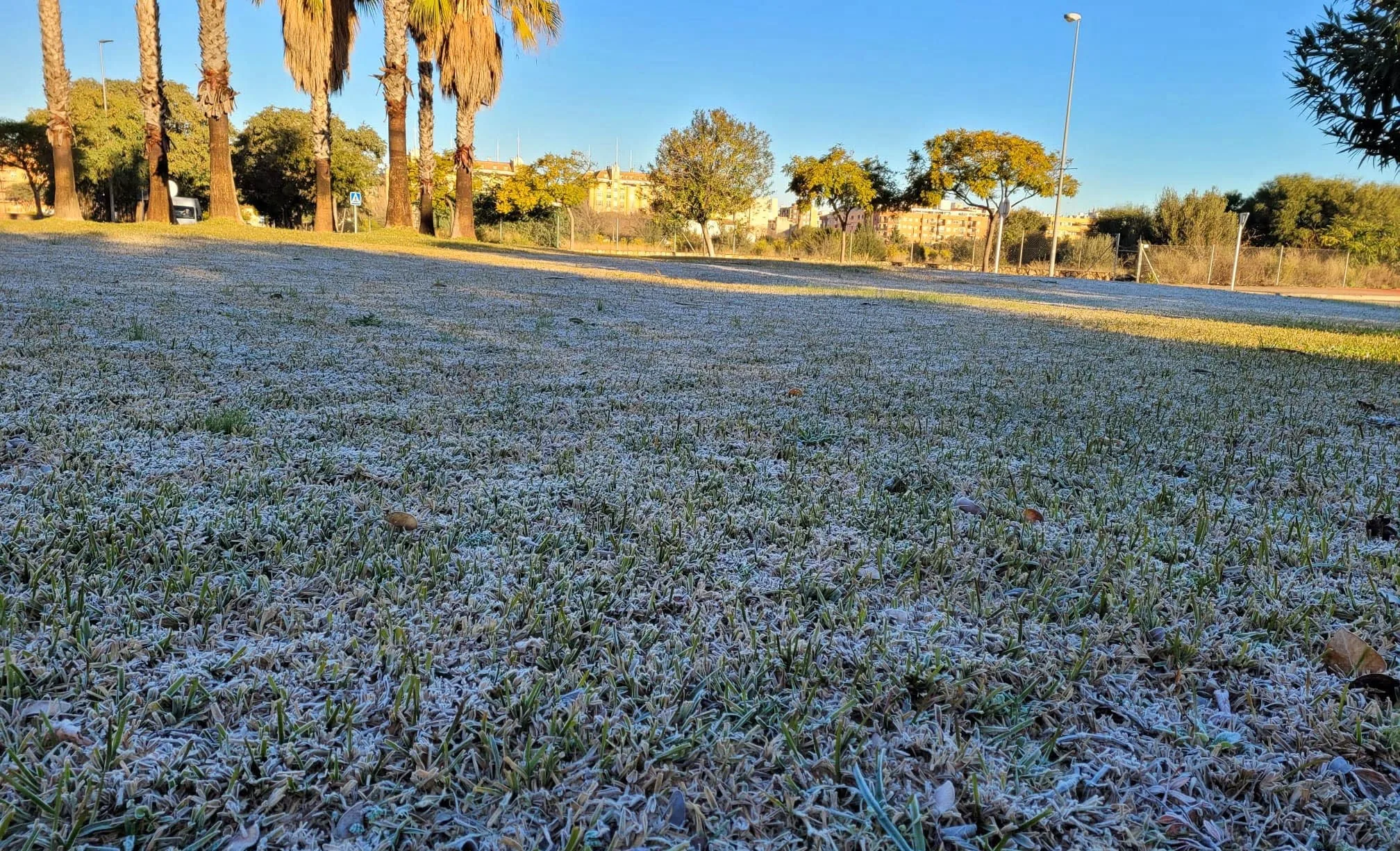 escarcha congelada en denia en 2021